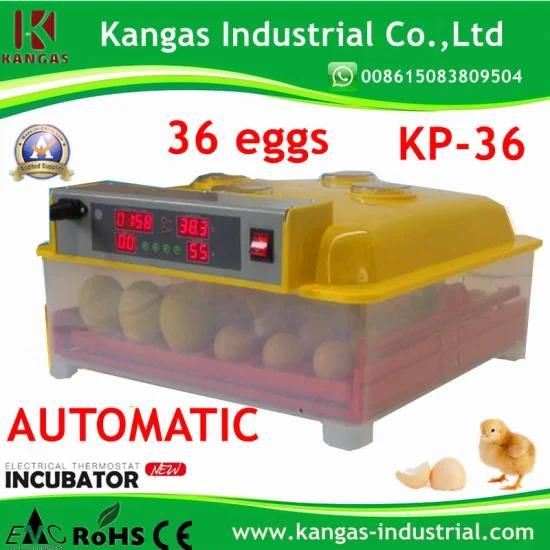 CE Approved Mini Automatic 36 Eggs Incubator for Quail