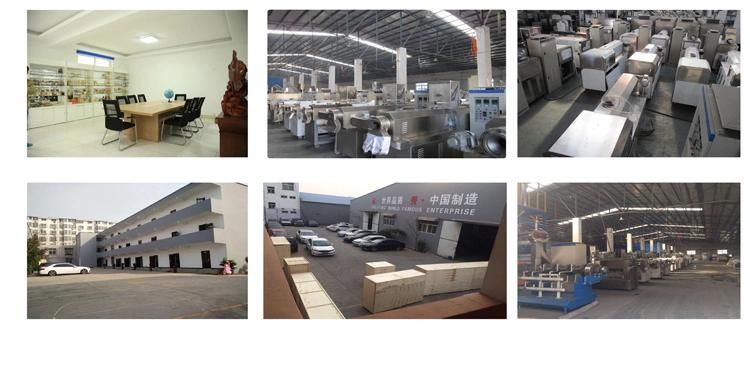 ISO Certificate Floating Fish Food Production Line Extruder