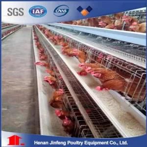 Jinfeng Automatic Poultry Farm Equipment Layer Chicken Battery Cage