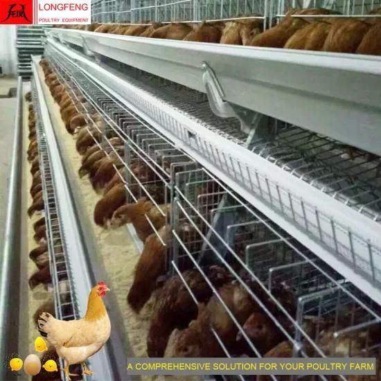 Longfeng Stable Running Service Professional Good Price Large Scale Poultry Farming Layer ...