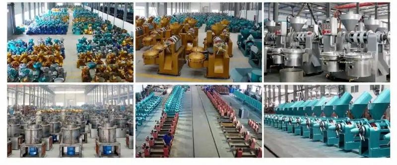 Chinese Factory 270kg/H Groundnuts Oil Presses Professional Mastard Oil Expeller Machine