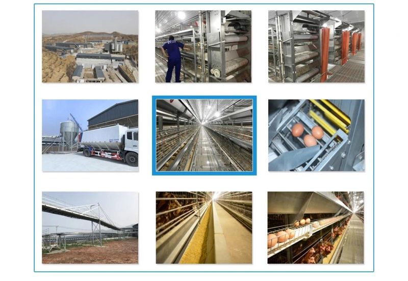 Longfeng Hot Galvanized Material H Frame Poultry Equipment for Laying Hens/Layers/Egg Chicken