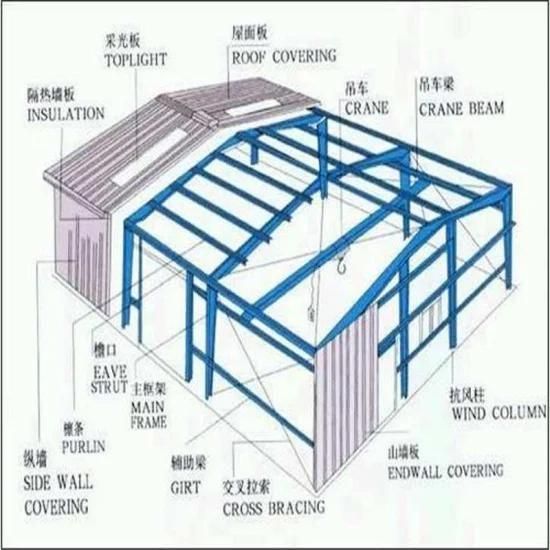 Steel Structure Chicken Layer House for Sale in Philippines Farming
