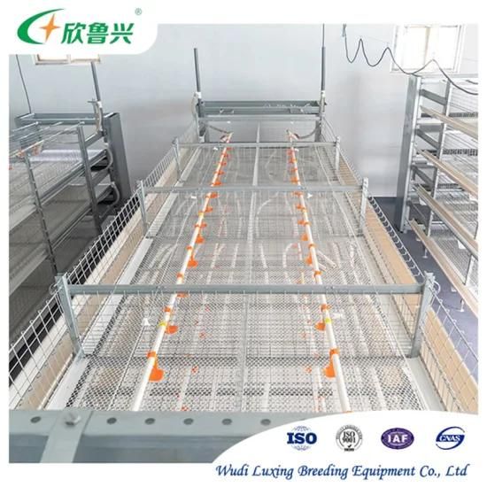 Broiler Poultry Farming H Type Fully Automatic Battery Chicken Broiler Cage System