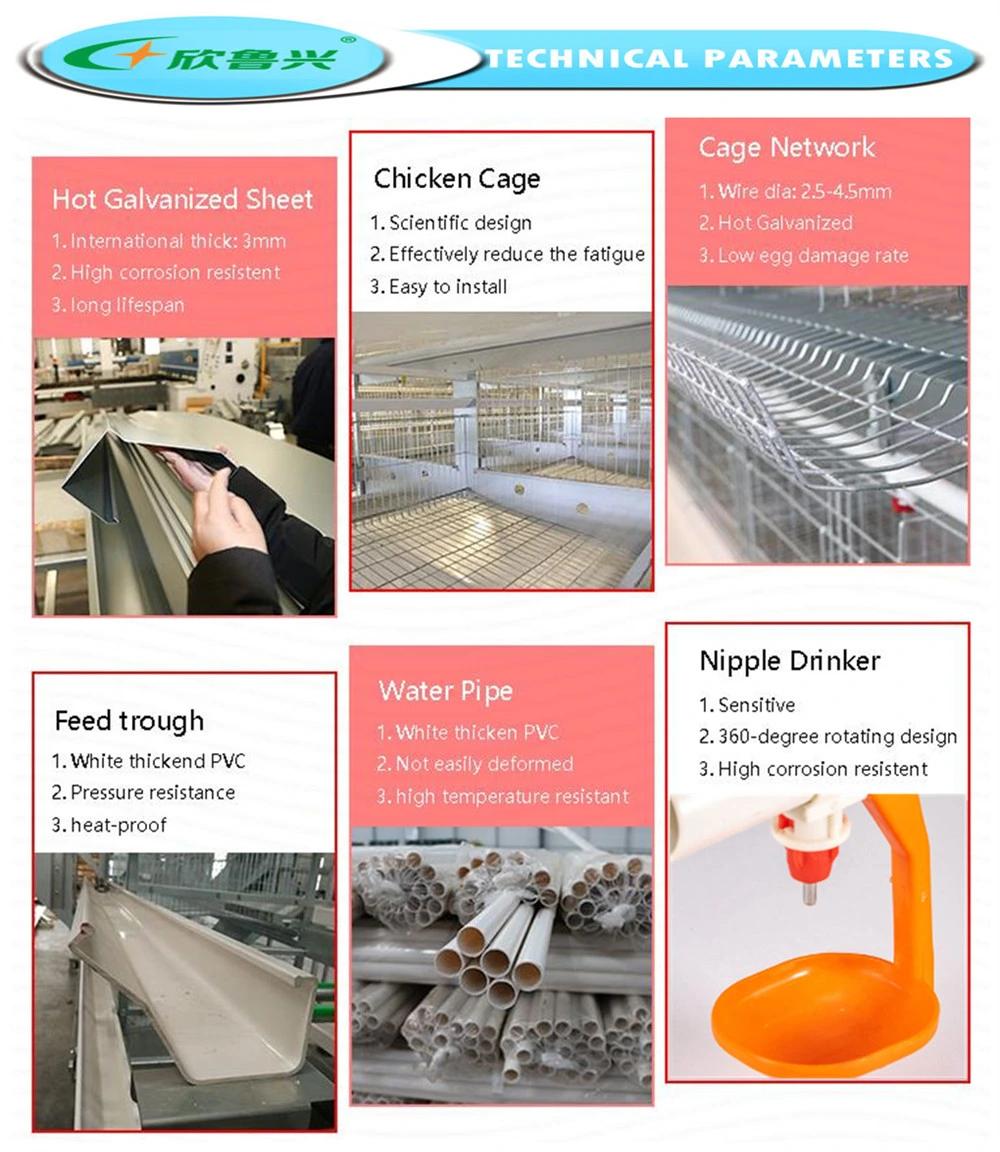 Automatic Feeding System Poultry Farm Layer Cage Chicken Equipment