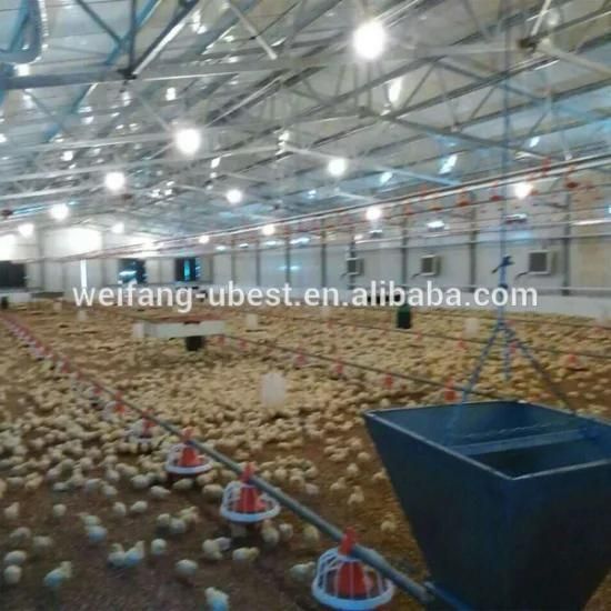 Low Cost Steel Structure Design Poultry Farm Shed for Broiler Chicken