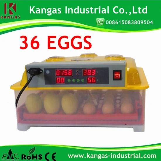 CE Automatic Mini Ostrich 36 Eggs Incubator