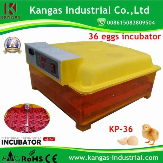 36 Eggs Mini Incubator
