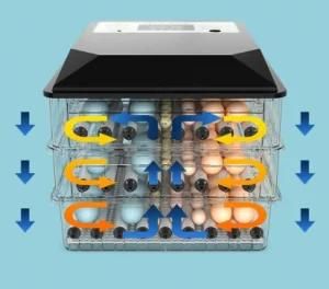 Fast Shipping Mini Egg Incubator 24 Fully Automatic Chicken Egg Hatcher Warmer Small ...
