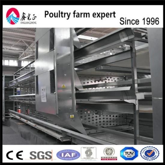 Layer Egg Chicken Cage Poultry Farm House Design for Sale in Philippines