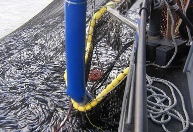 Haisun Marine Submersible Capsul Fish Pump Fp