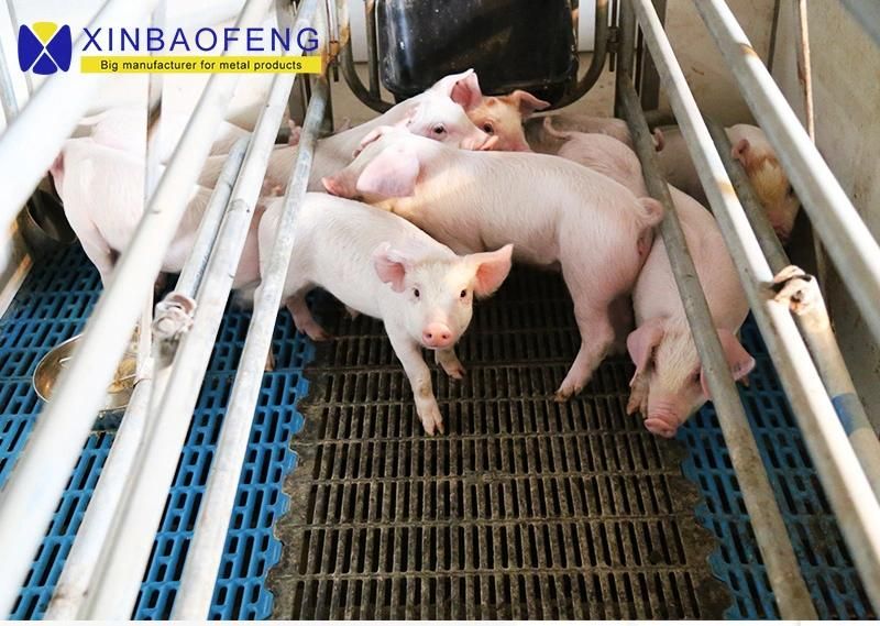 China Made Galvanized Farm Equipment Pig Farrowing Box/Pen Manufacturer