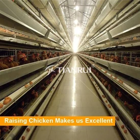 Hot Sale Automatic H Type Layer Raising Chicken Battery Cage In Nigeria