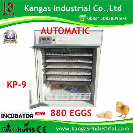 98% Hatching Rate 880 Eggs Fully Automatic Solar Egg Incubator (KP-9)
