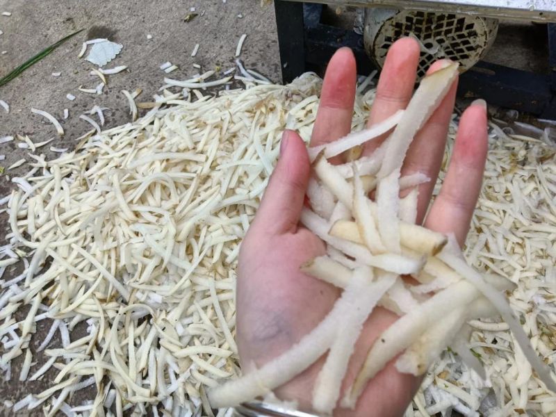 Slicing Machine Can Process Potato Radish Cassava