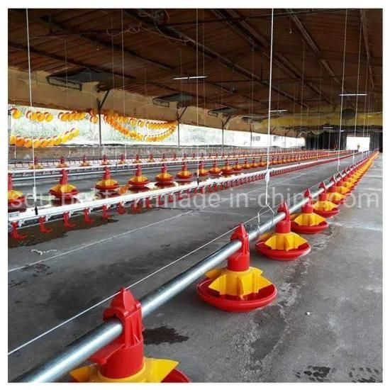 Automatic Plasson Chicken Poultry Shed/Farm Equipment in Colombia