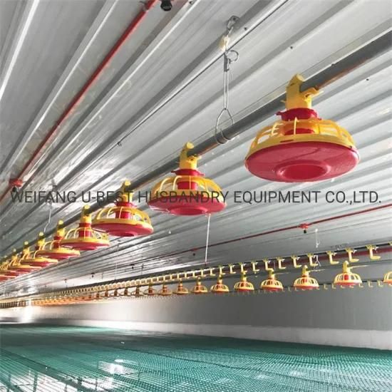Farming Automatic Chicken Drinking and Feeding Line System for Poultry Equipment
