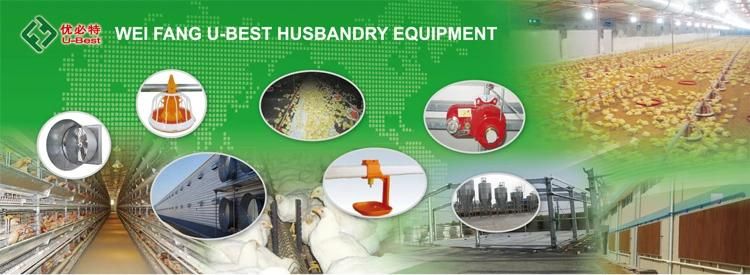 Fully Automatic Poultry Farming Feeding Line System Feeder Equipment for Broiler Chicken