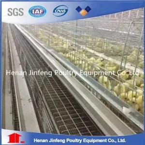 High Quality and Low Price Automatic Design Pullet Chicken Cage