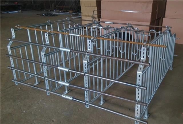 Piggery Equipment Galvanized Pig Farm House Design