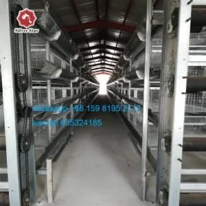 Hot Galvanized Automatic Chicken Cage for Growing Broilers and Layers