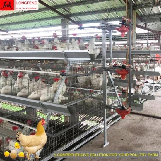 Longfeng 275g Hot Galvanized Wire Mesh and Sheet Large Scale Farming Poultry Equipment ...