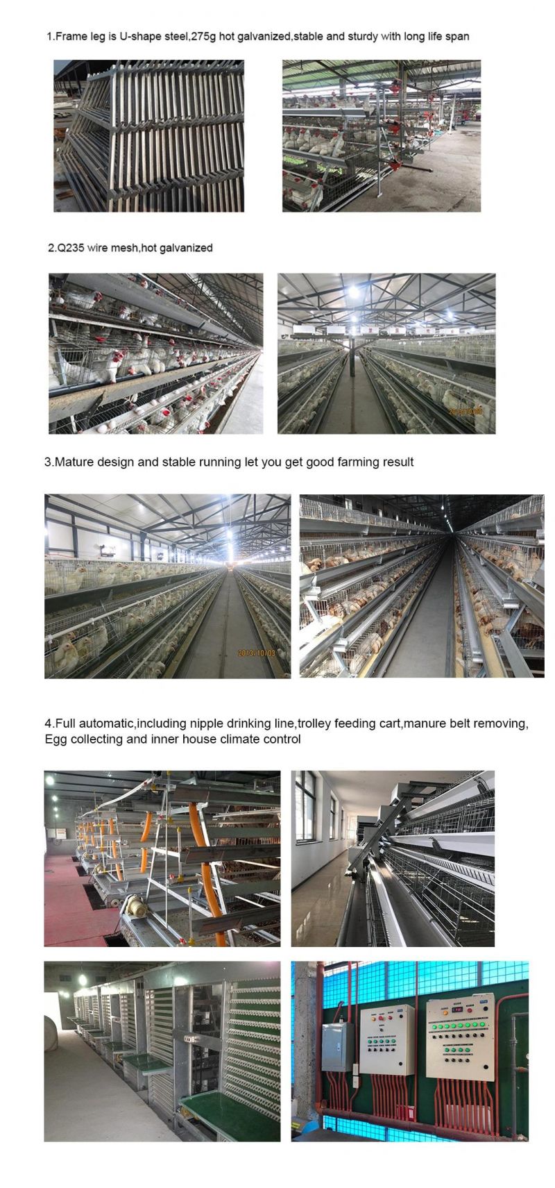 Longfeng Most Advanced Technology Low Egg Broken Rate 15-20years 430cm2 or 450cm2 Poultry Farm Equipment with High Quality