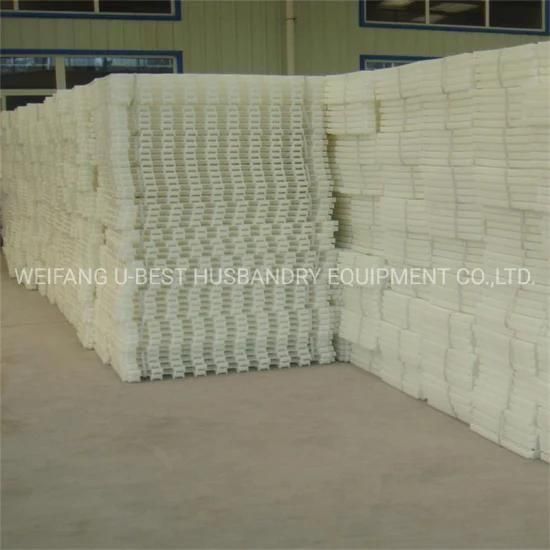 Pure PP Poultry Farm Chicken Slatted Floor for Broiler/Breeder/Layer