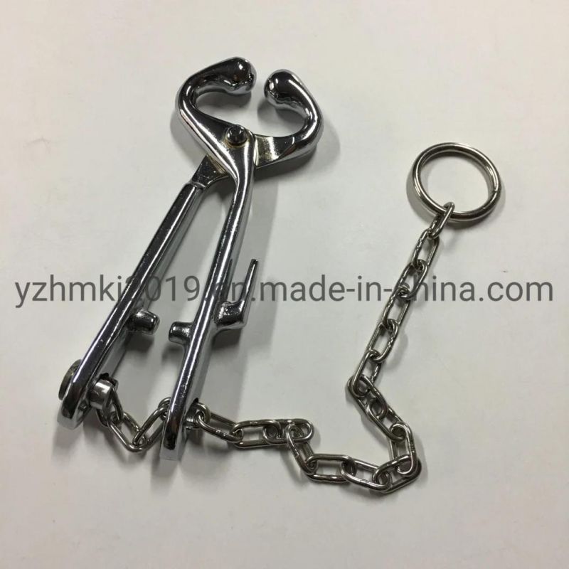 Factory Making Stainless Bull Nose Holde with Chain