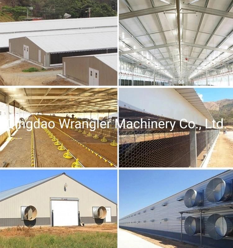 Good Price Poultry House for Chicken Automatic Farm Equipment
