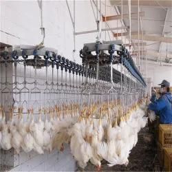 Chicken Slaughtering Line Hanging Line Poultry Overhead Conveyor