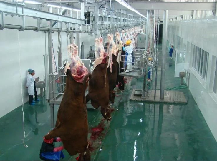 Cattle Sheep Abattoir Slaughtering Equipment