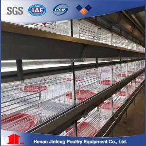 Chicken Use Poultry Farming Equipment with Automatic Feeding Line