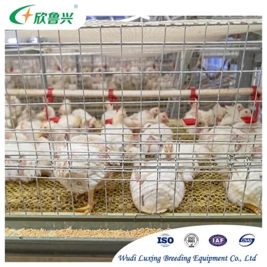 Modern Design H Type 3 Tiers 4 Tiers Chicken Broiler Breeding Rearing Cages for Broiler ...