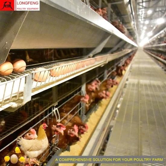Automatic Poultry Chicken Cages 96 Birds-384 Birds Per Set Valid for 15-20 Years