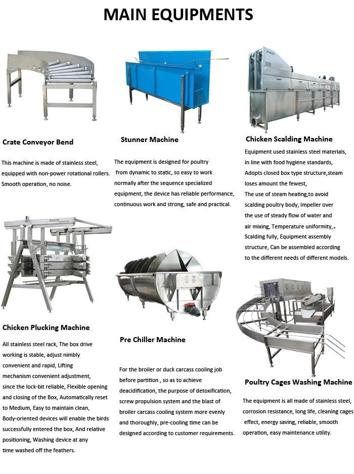 500-2000bph Poultry Slaughter Line Chicken Processing Production Equipments