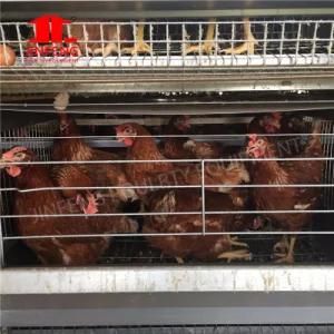Galvanized Automatic Battery Cage Egg Layer Chicken Farming Poultry Equipment