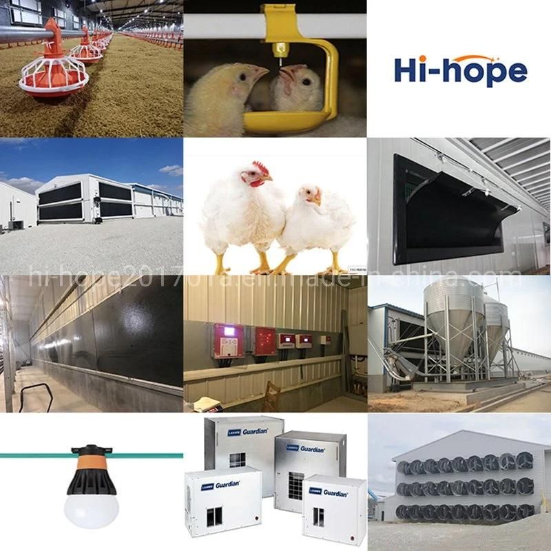 China Supplier Automatic Poultry Equipment Broiler Pan Feeder