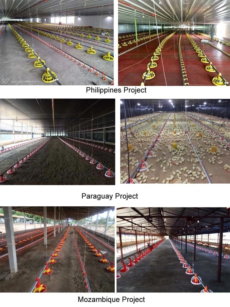 China Factory Full Automatic Poultry Farming Equipment for Chicken Shed