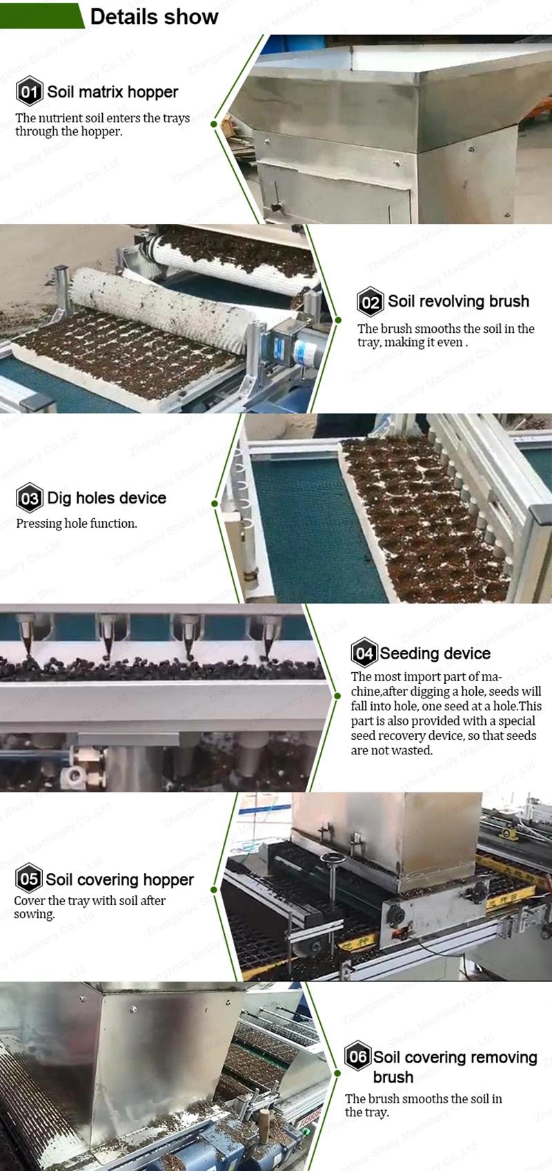 Greenhouse Vegetable Nursery Seeding Automatic Tray Seeder Machine