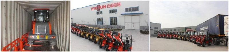 Ce Approved Everun Wheel Loader for Sale