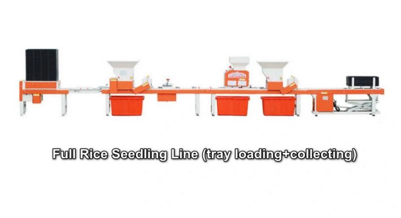 Paddy Rice Seedling Seeder Machine for Thick Plastic Nursery Plate Trays Seeding