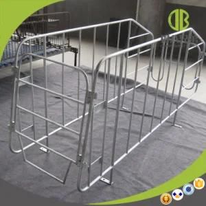 Factory Supply Pig Equipment Sow Gestation Stall for Pigs