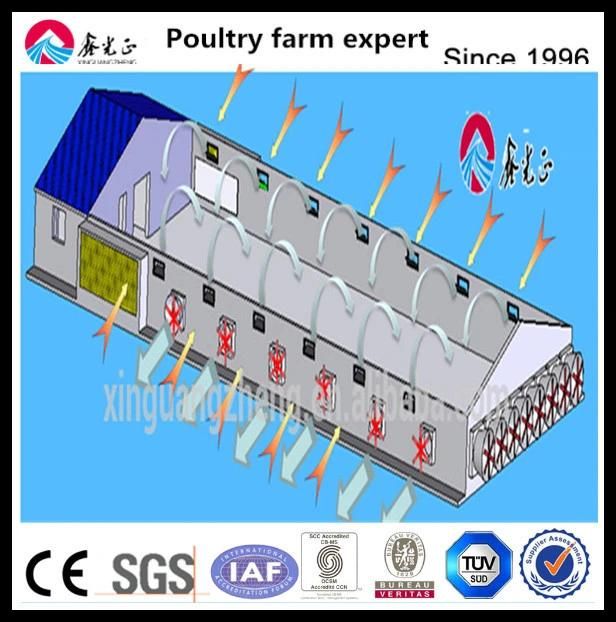 Broiler Poultry Farm Equipment Feed Silo for Broiler House