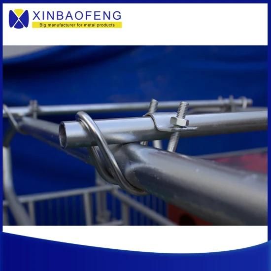 Pig House Design Breeding Equipment Pig Barbed Wire Sow Farrowing Pen Supplier