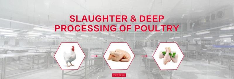 Poultry Abattoir Slaughter Process Line Slaughtering Equipment Halal Slaughterhouse Automatic Chicken Production Machine