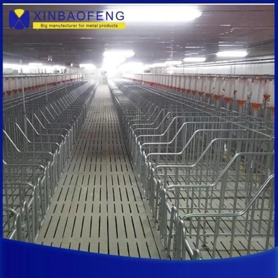 Top Quality Hot-DIP Galvanized Pig Sow Farrowing Crates