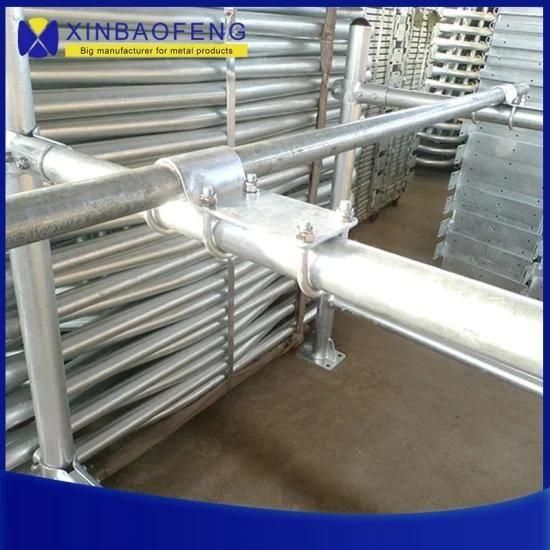 Hot DIP Galvanized Durable Cattle Divide Dairy Cow Free Stall