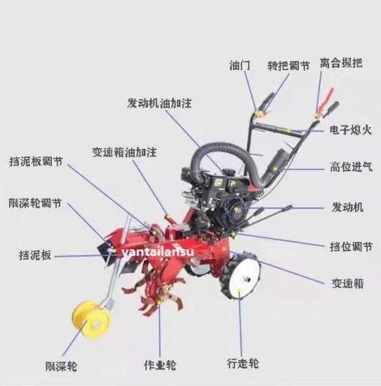 China Hot Sale Cheap Good Quality Diesel and Gasoline Mini Rotary Power Tiller