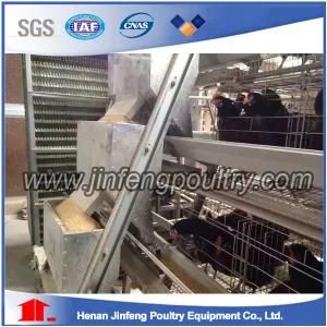 Automatic Chicken Raising Layer Cages (A type)